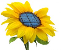 /album/fotogaleria-inicio/energia-renovable-1-jpg/